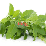 Holy basil leaf (Bai krapow) - ใบกะเพรา (pack 100g)