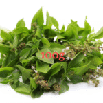 Hairy Basil Leaves - ใบแมงลัก (pack 100g)