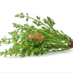 Sadao flower, Neem Flower (Dok sadao) - ดอกสะเดา แบบถุง 100g/Pack