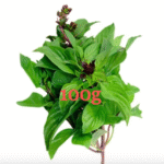 Sweet Basil Leaf (Bai Holapa) - ใบโหระพา (pack 100g)