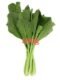 Chinese Kale คะน้า 200g